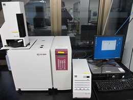 Gas chromatography system