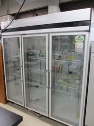 Cold chamber for chromatography