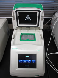 Thermal cycler for PCR