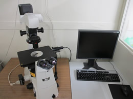Phase-contrast and fluorescence microscope