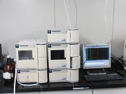 HPLC system equipped with UV-vis and fluorescence detector