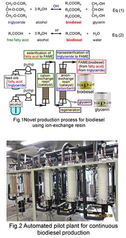 Continuous production technology for biodiesel