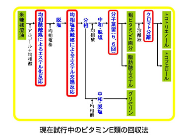 ビタミンE類の高効率回収技術の開発