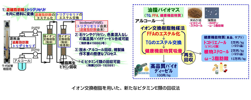 ビタミンE類の高効率回収技術の開発