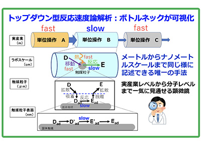 トップダウン型反応速度論解析：ボトルネックが可視化